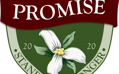 Antrim Promise: Economic Recovery and Assistance