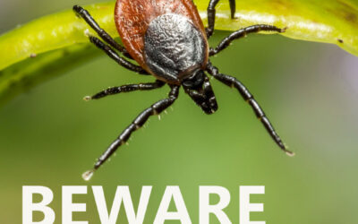 Spring seasonal tick awareness notice